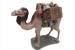 Camello cargado andando nº1