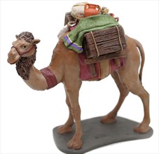 Camello cargado andando nº2