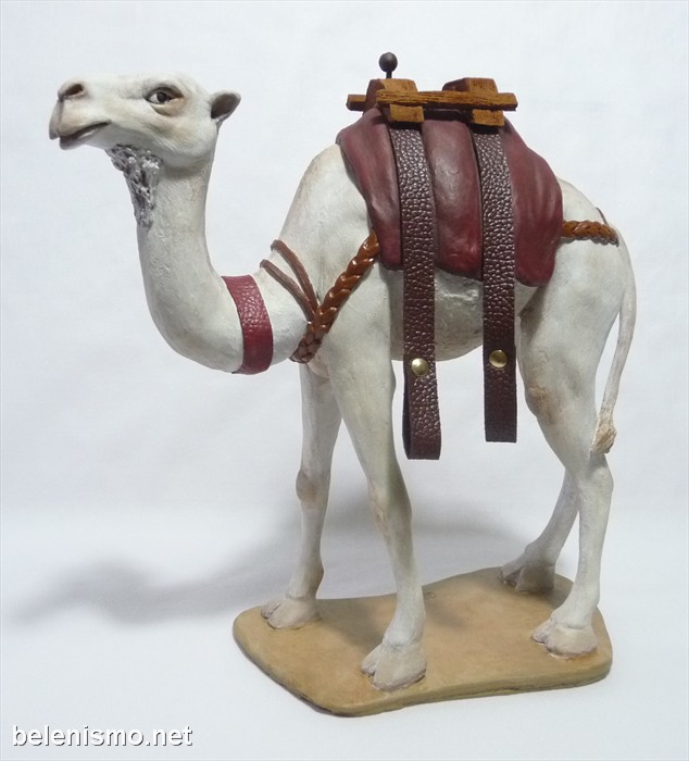 Camello con correas blanco nº9