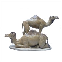 Grupo camellos sin carga