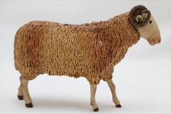 Borrega lana macho cabrio